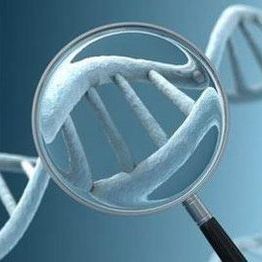 DNA甲基化技术服务
