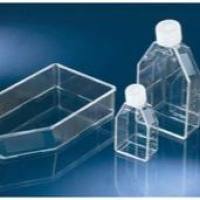 Nunc EasyFlasksTM Collagen1(胶原蛋白1）预包被175cm2   132708