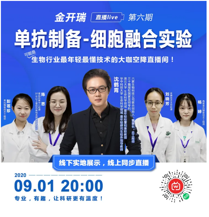 金日晚报一周汇总【2020.8.31-2020.9.4】