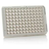 Nunc 96孔底透微孔板，聚苯乙烯/盖玻片底，外部尺寸128*86mm，表面细胞培养，颜色，白色，已灭菌， 165306