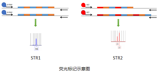 新闻图片3