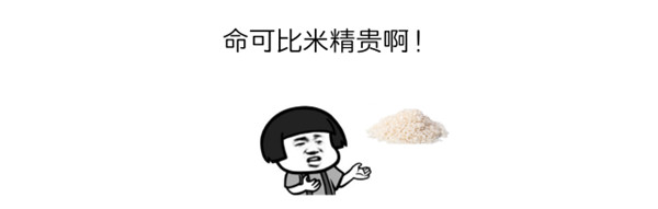 食品安全之黄曲霉毒素的定量检测