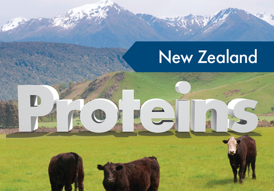 科普小站|带你走进牛血清白蛋白（BSA）的世界