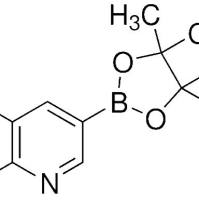 171364-85-5/	 3-啉硼酸频哪醇酯 ,	95%