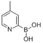 372963-48-9/4-甲吡啶-2-硼酸