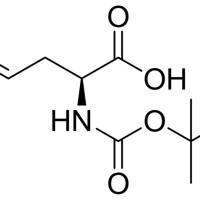 90600-20-7/	 Boc-L-烯丙基甘氨酸 ,	97%