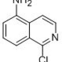 374554-54-8/5-氨基-1-氯异喹