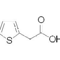 1918-77-0/噻吩-2-乙酸