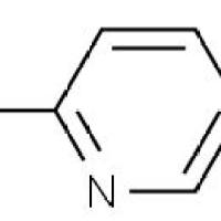 652148-91-9/5-氯吡啶-2-硼酸