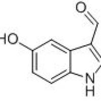 3414-19-5/ 5-羟基吲哚-3-甲醛, 95%