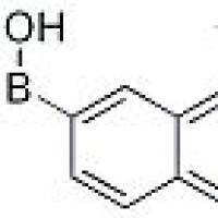 370864-49-6/1-氯异啉-7-硼酸