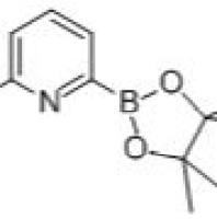 842136-58-7.6-氟-2-吡啶硼酸频哪醇酯