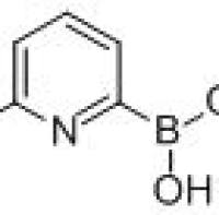 916176-61-9/2-氟吡啶-6-硼酸