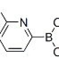 870459-91-9/	 6-氯吡啶-2-硼酸 ,	97%