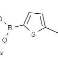 1218790-44-3/5-(1-啶基甲基)噻吩-2-硼酸频哪醇酯