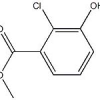 1125632-/11-2	 2-氯-3-羟基苯甲酸甲.98%