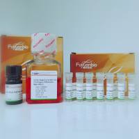 人间充质干细胞分化鉴定试剂盒（套装）