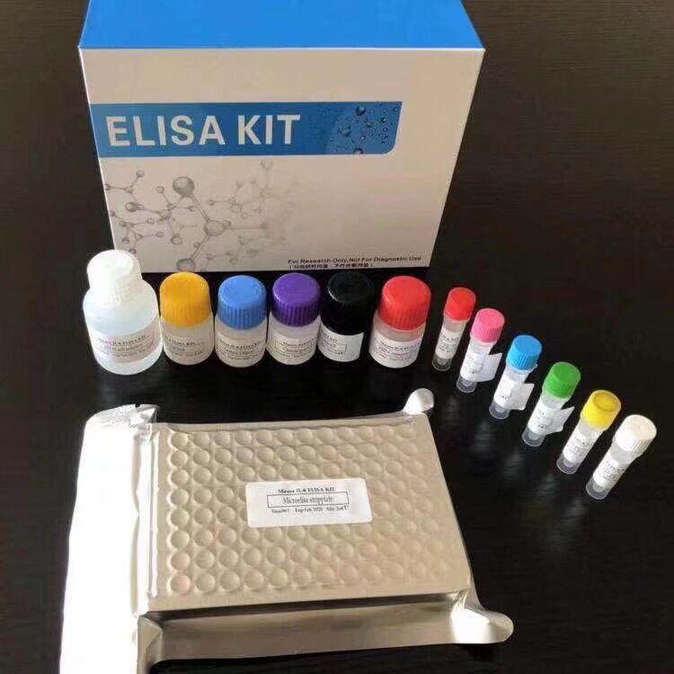 Elisa 检测试剂盒