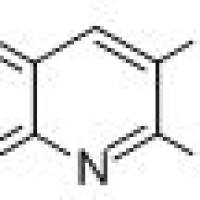 17127-83-2/3-氨基-2-溴喹