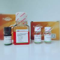 人间充质干细胞成骨诱导试剂盒培养基