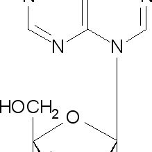 2002-35-9/	 N6-甲基-2'-脱氧腺苷 ,	99%