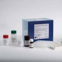 麦芽糖酶比色法测试盒