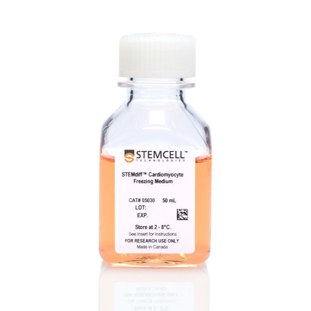 STEMdiff™心肌细胞冻存液