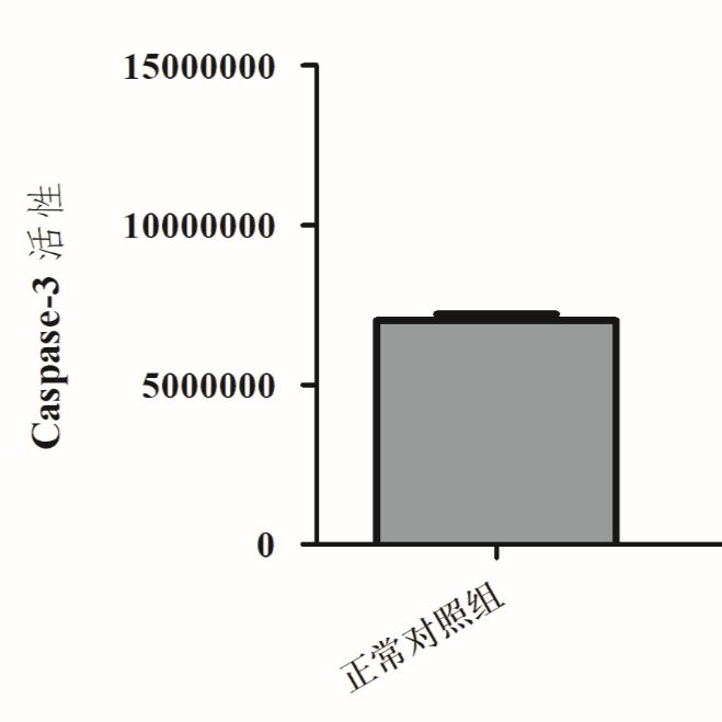 利用斑马鱼模型评价对caspase的诱导作用