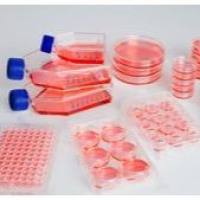 Sphera超低吸附表面,96孔板,平底,孔体积400ul 174927