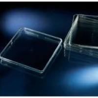 Nunc Bio-Assay培养皿,标准高度 240835