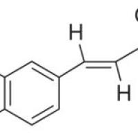 20797-48-2.	 4-氯-3-硝基肉桂酸 ,	98%