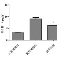 利用斑马鱼模型评价促进排铅功效