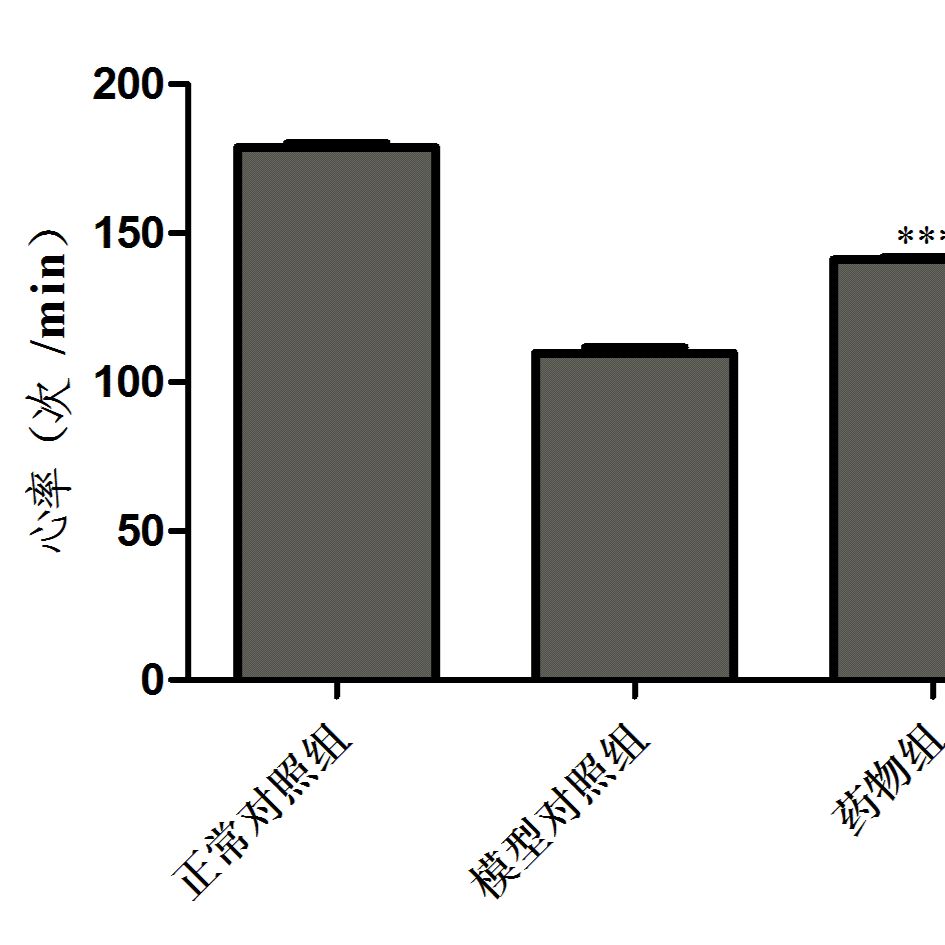 利用斑马鱼模型评价改善心动过缓功效