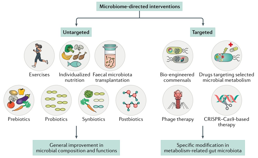 Nature Reviews Microbiology：肠道菌群在人类代谢健康和疾病中的作用 