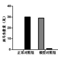 利用斑马鱼模型评价（亚&硝&酸&钠&诱导）耐缺氧功效
