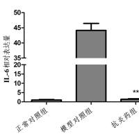 利用斑马鱼模型评价抗炎作用-细菌性炎症