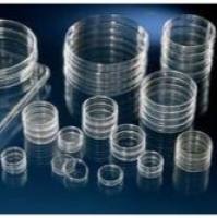 培养皿NunclonTM△，聚苯乙烯，带盖，已灭菌，规格60*15,无透气性  150326