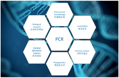 直接PCR——PCR反应中的快速之“王”