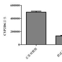 利用斑马鱼模型评价对细胞色素P450的影响作用