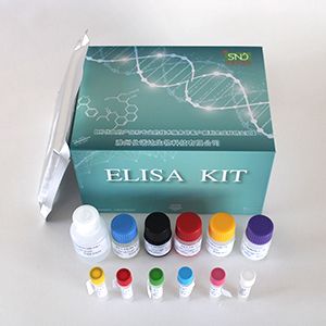 小鼠谷草转氨酶;天门冬氨酸氨基转移酶（AST；GOT）试剂盒（ELISA）