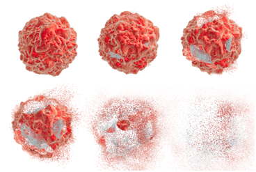 【精品推荐】有了它们，细胞凋亡检测再也不愁