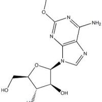 51742-84-8/氟达拉滨杂质