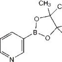 214360-62-0/	 2-溴吡啶-5-硼酸频哪醇酯 ,	97%