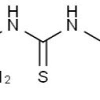 15989-47-6/1-苯基-3-脒基硫