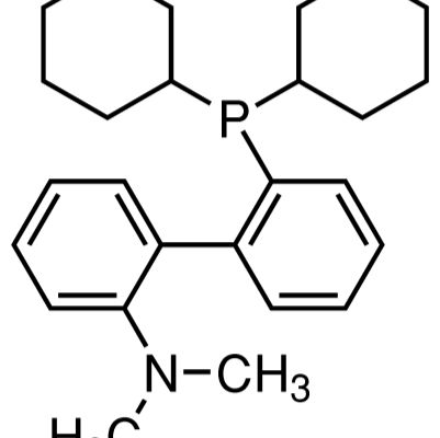 213697-53-1/ 2-二己膦基-2'-(N,N-二胺)-联.98%