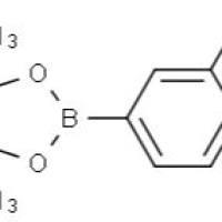 721960-43-6/3-氯-4-氨基硼酸频哪醇酯