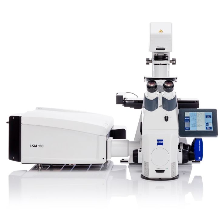 蔡司激光共聚焦顯微鏡LSM 9系列
