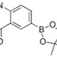 363185-87-9/	 无 ,	98%+