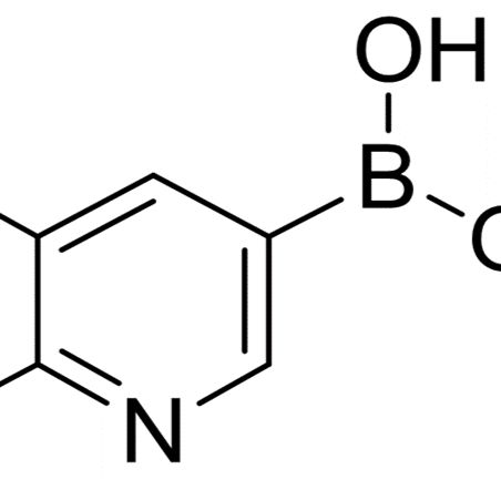 904326-92-7/ 2-氟-3-基吡啶-5-硼酸,20-60 mesh