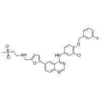 231277-92-2/	 拉帕替尼 ,	≥99%